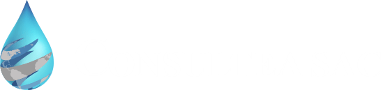 Consultea logo